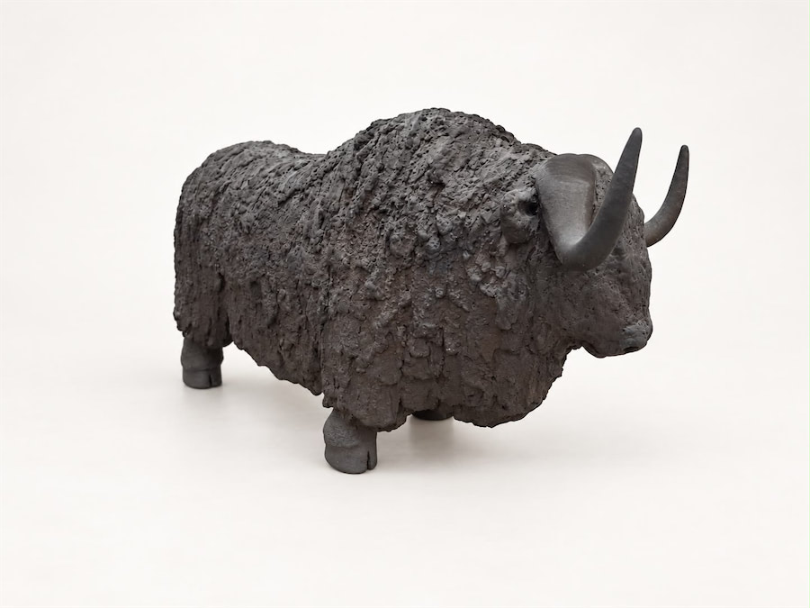 Moschus-Ochse
